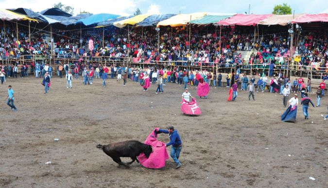 Guano celebró la Primera Gran Corrida de Toros en honor a la Virgen de ...
